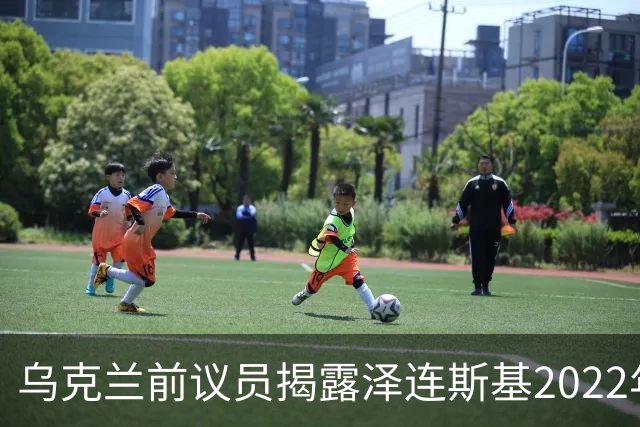 乌克兰前议员揭露泽连斯基2022年春季妥协意图